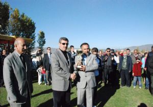 Ciritte Kombina  damgası